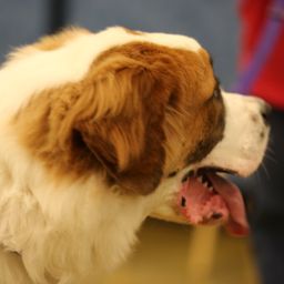 photograph by PeterW